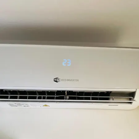 בית הארחה Stefan Pescarusului 3*