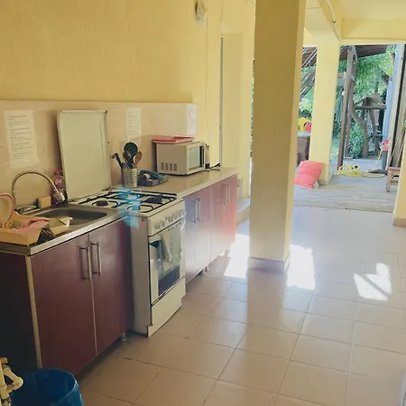 Guest house Vila Stefan Pescarusului Costinesti