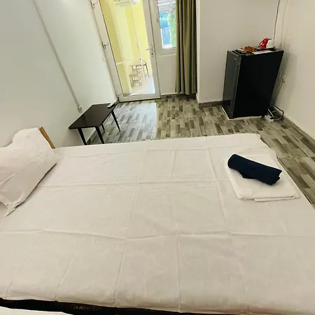 Guest house Vila Stefan Pescarusului Costinesti 3*