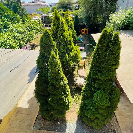Guest house Vila Stefan Pescarusului Costinesti 3*